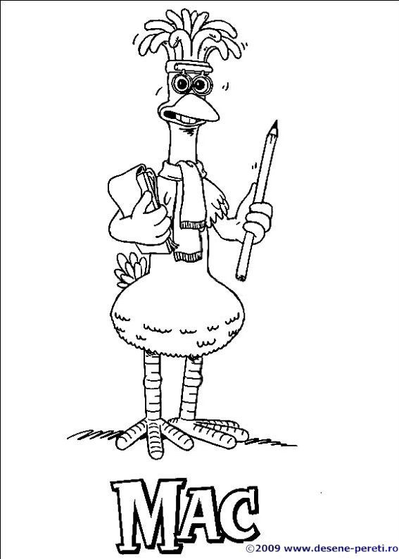 chicken run desene colorat